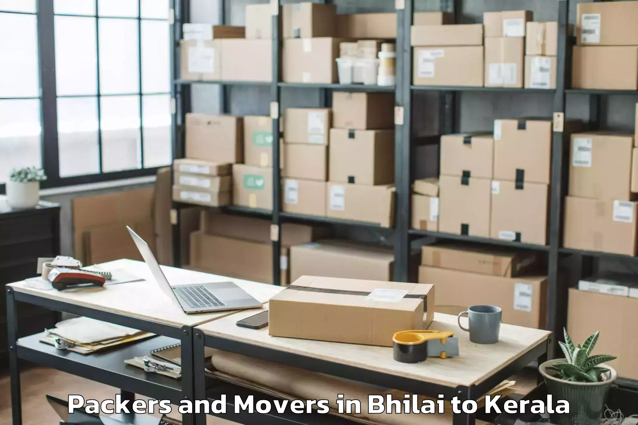 Reliable Bhilai to Guruvayoor Packers And Movers